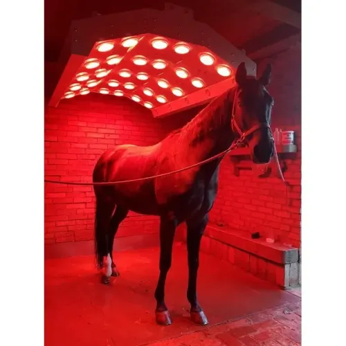 SOLARIUM ALU-SOLAR